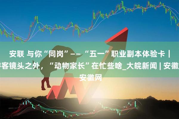 安联 与你“同岗”—— “五一”职业副本体验卡｜游客镜头之外，“动物家长”在忙些啥_大皖新闻 | 安徽网