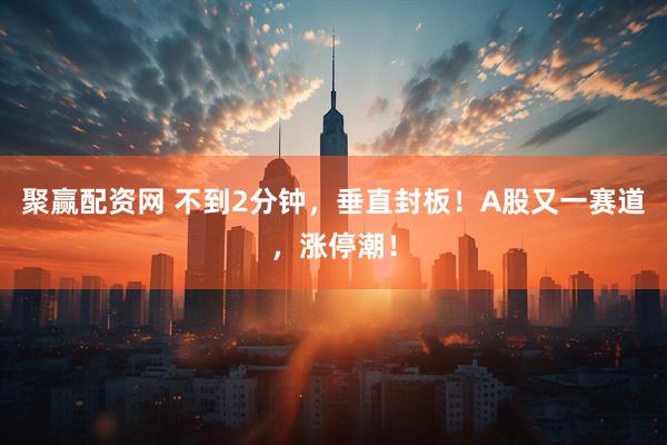 聚赢配资网 不到2分钟，垂直封板！A股又一赛道，涨停潮！
