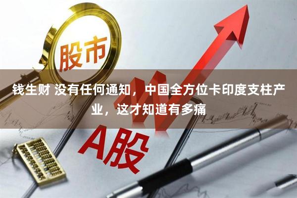 钱生财 没有任何通知，中国全方位卡印度支柱产业，这才知道有多痛