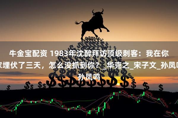 牛金宝配资 1983年沈醉拜访顶级刺客：我在你家埋伏了三天，怎么没抓到你？_华克之_宋子文_孙凤鸣
