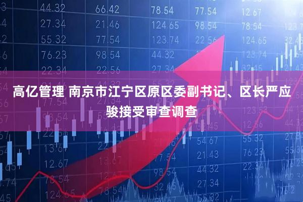 高亿管理 南京市江宁区原区委副书记、区长严应骏接受审查调查