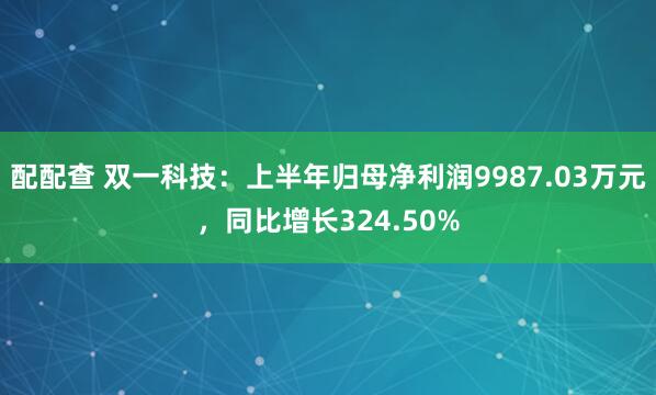 配配查 双一科技：上半年归母净利润9987.03万元，同比增长324.50%