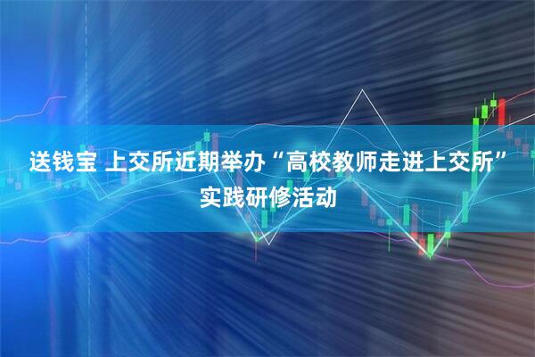 送钱宝 上交所近期举办“高校教师走进上交所”实践研修活动