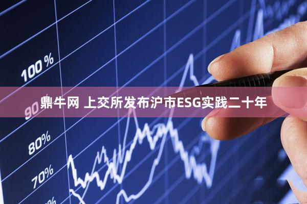 鼎牛网 上交所发布沪市ESG实践二十年