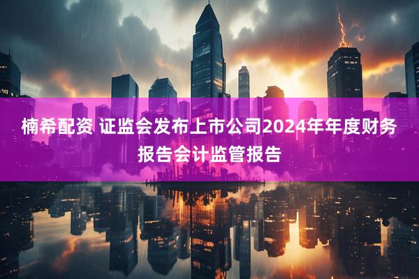 楠希配资 证监会发布上市公司2024年年度财务报告会计监管报告