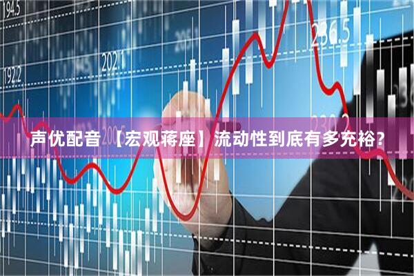 声优配音 【宏观蒋座】流动性到底有多充裕？