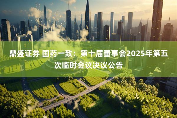 鼎盛证券 国药一致：第十届董事会2025年第五次临时会议决议公告