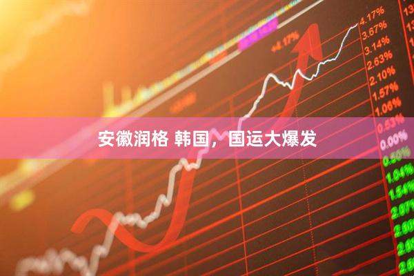 安徽润格 韩国，国运大爆发