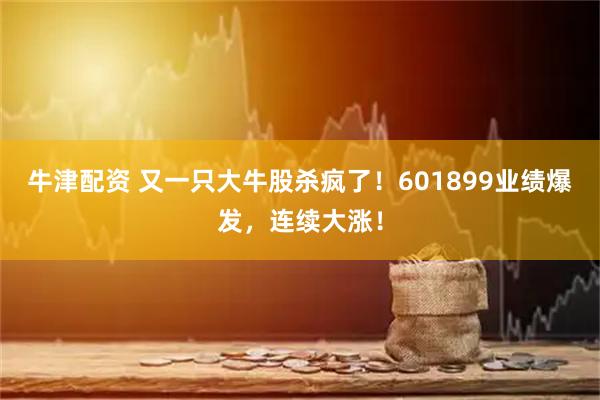 牛津配资 又一只大牛股杀疯了！601899业绩爆发，连续大涨！